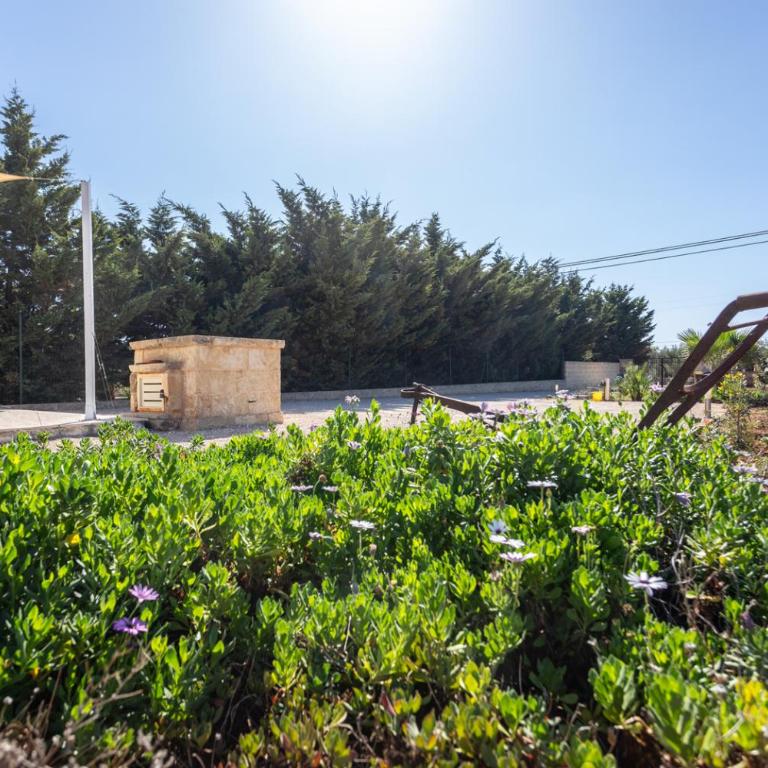 Villa Andrea per gruppi a due passi dalla sabbia - Apulia Home - Villa - 35