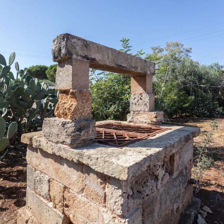 Villa Andrea per gruppi a due passi dalla sabbia - Apulia Home - Villa - 38