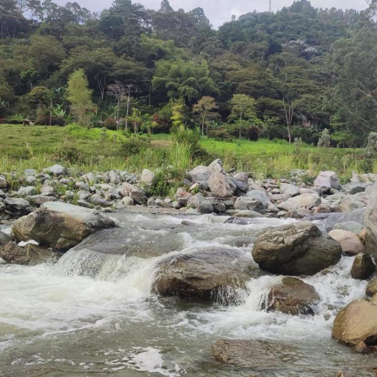 susurros del río - Room #1184340001 - 2