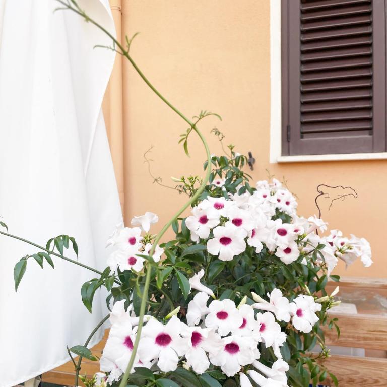 Heidi's Apartment - Appartamento con 3 Camere da Letto - 42