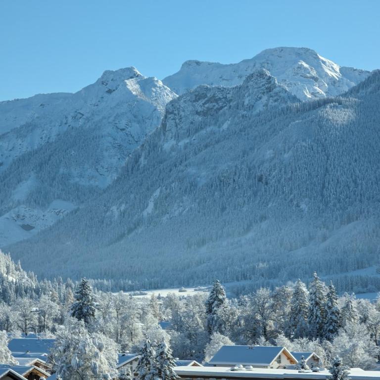 Bergluftsuite am Breitenberg - Apartamento de 2 dormitorios - 34