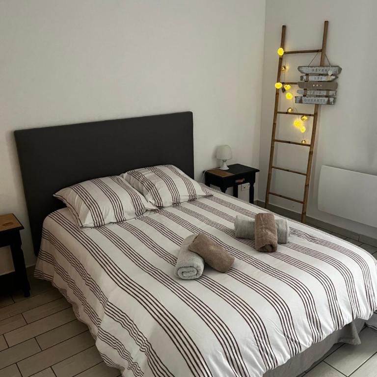 Joli appartement hypercentre T2, classé meublé de tourisme 3 avec parking gratuit - Appartement 1 Chambre - 23