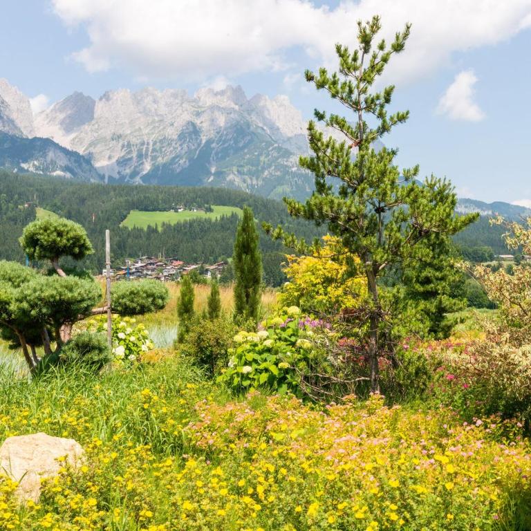 Apartment in Ellmau with Ski-In Access - Two-Bedroom Apartment - 40