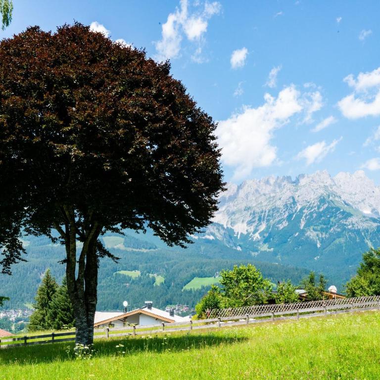 Apartment in Ellmau with Ski-In Access - Two-Bedroom Apartment - 33