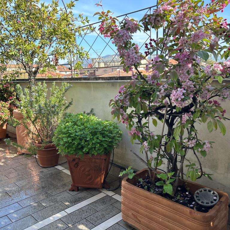 Cherubini Florence Residence - Appartamento con 3 Camere da Letto - 27