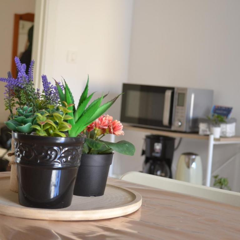 4 Country Side - City Center - Appartamento - 4