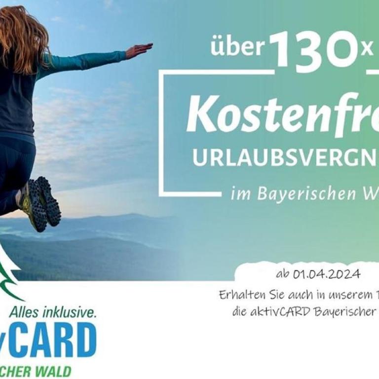 Ferienwohnung Wallner Rosi - Appartamento con 1 Camera da Letto - 22