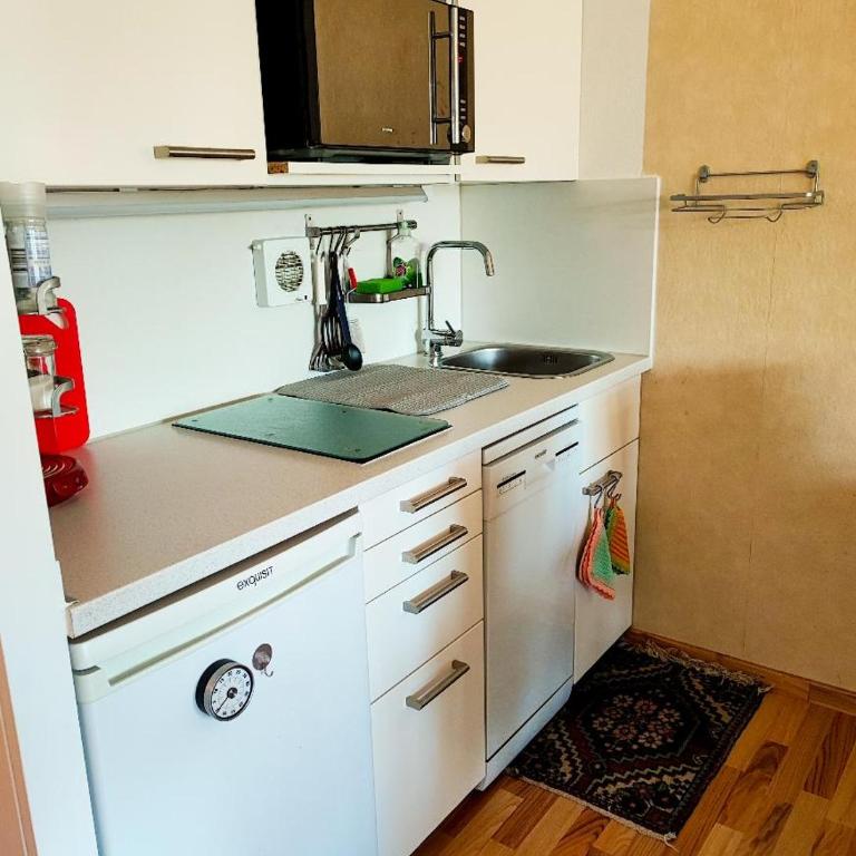 Ferienwohnung Wallner Rosi - Appartamento con 1 Camera da Letto - 4