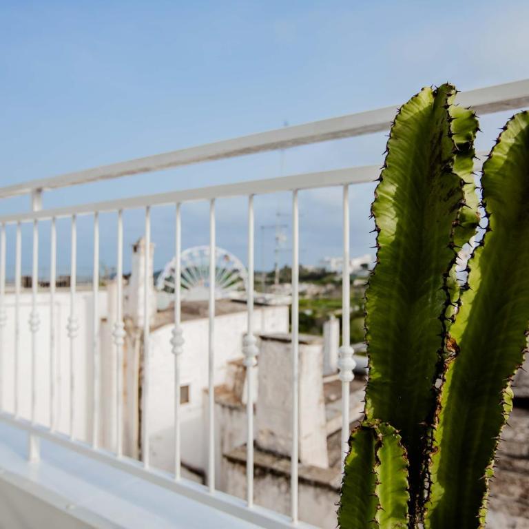 ALCOVA-holiday home-OSTUNI - Appartamento con 1 Camera da Letto - 41