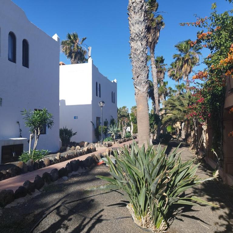 Casa del Mar Air-conditioned Apartment with Swimming Pools - Corralejo Playa - Apartamento - 68