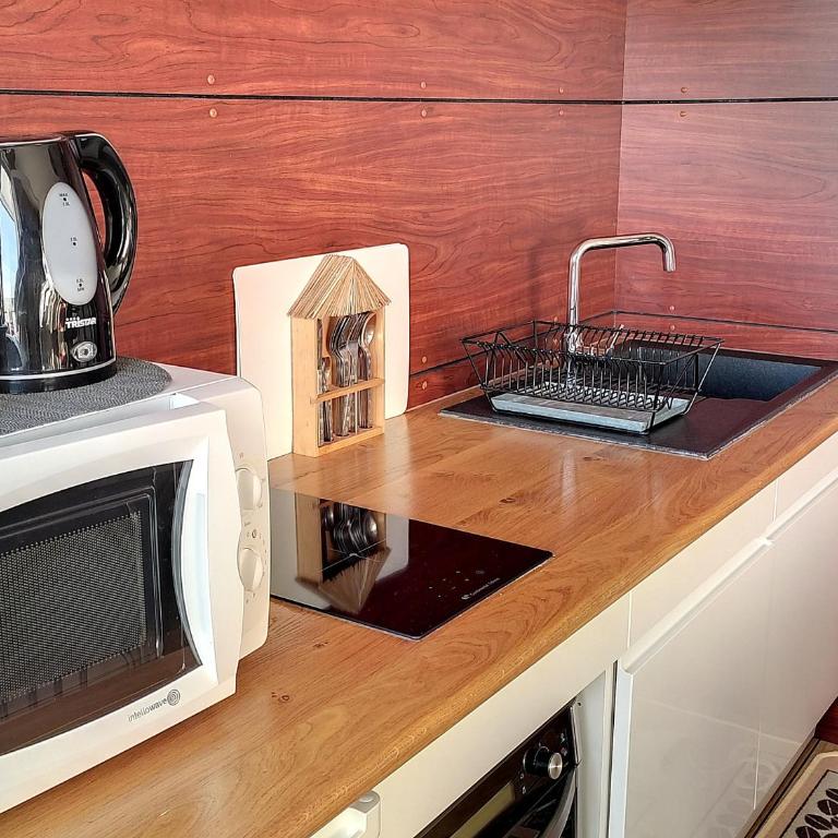 Studio charmant face mer accès plage, balcon, parking - FR-1-652-14 - Apartment - 14