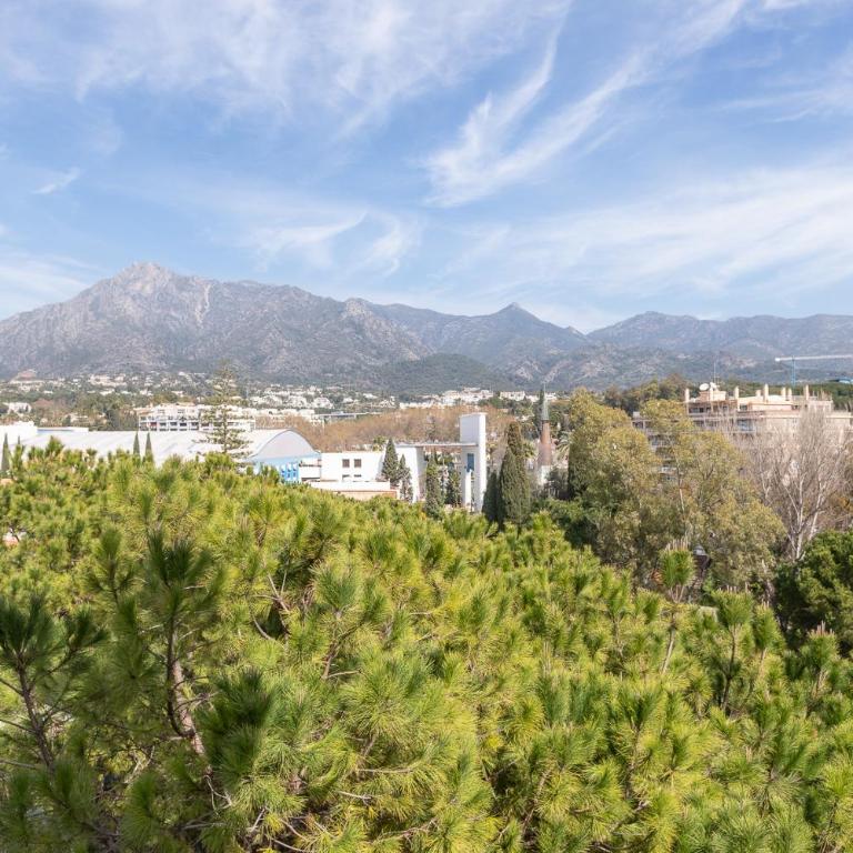 Lujoso Apartamento con piscina en Paseo Maritimo Marbella - Apartamento de 2 dormitorios - 15