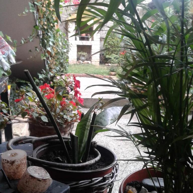 Apartment Centar - Apartman sa 2 Spavaće Sobe - 26