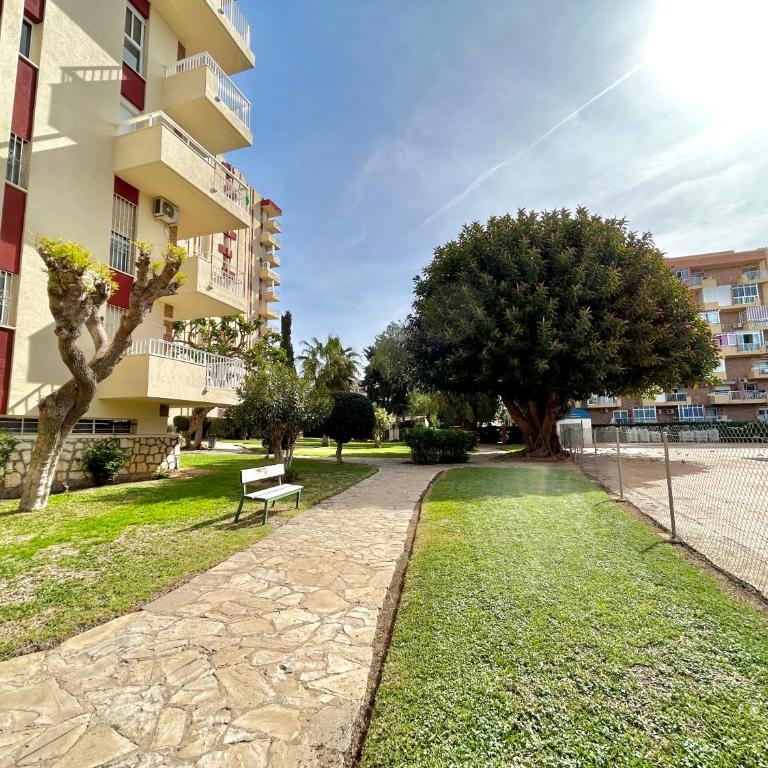 Hoja de palma - Apartamento Estudio - 12