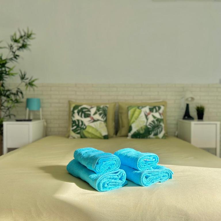 Hoja de palma - Apartamento Estudio - 7