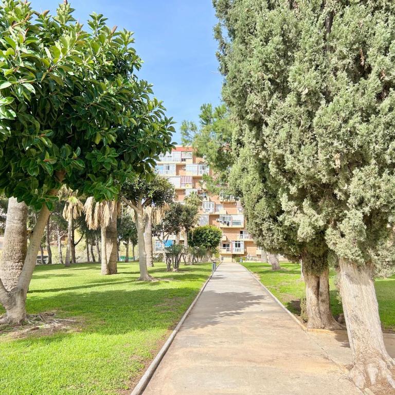 Hoja de palma - Apartamento Estudio - 19