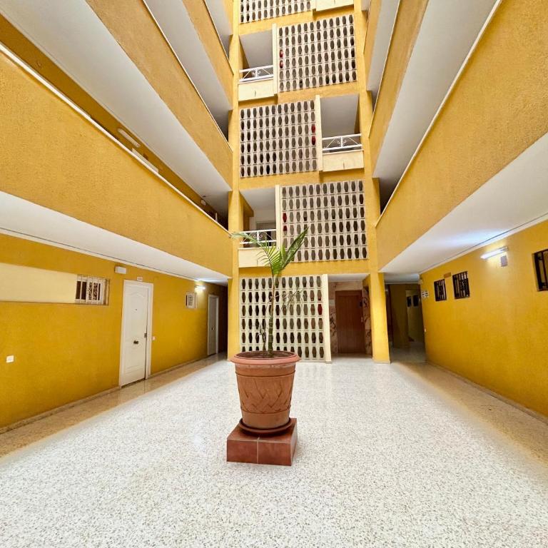 Hoja de palma - Apartamento Estudio - 29