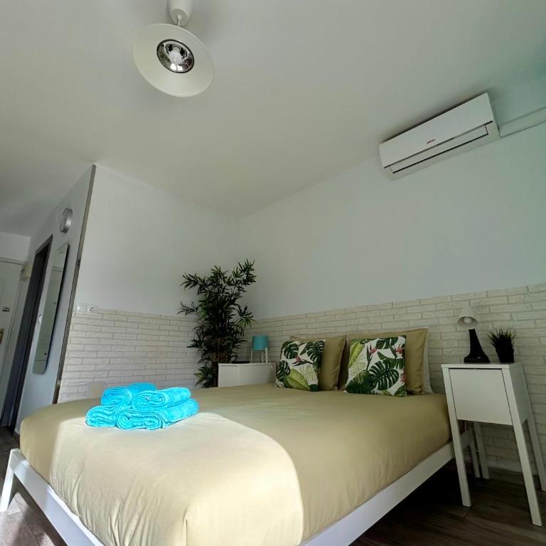 Hoja de palma - Apartamento Estudio - 36