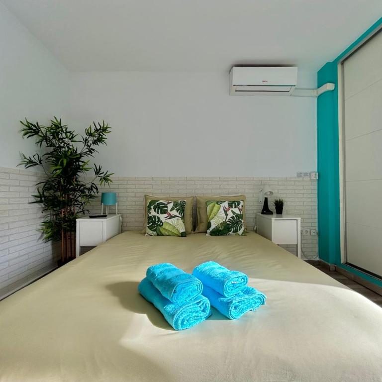 Hoja de palma - Apartamento Estudio - 37