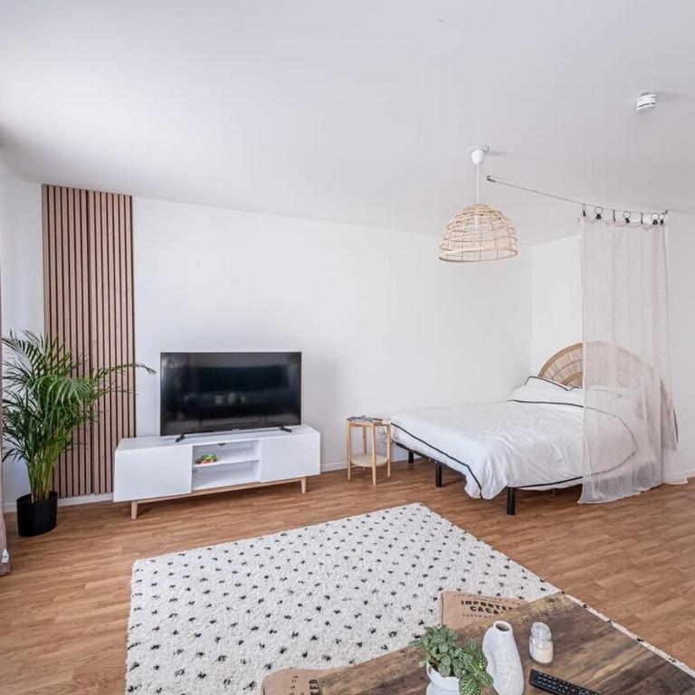 Studio Disneyland en 10 min Paris 30 min - Appartement 1 Chambre - 7