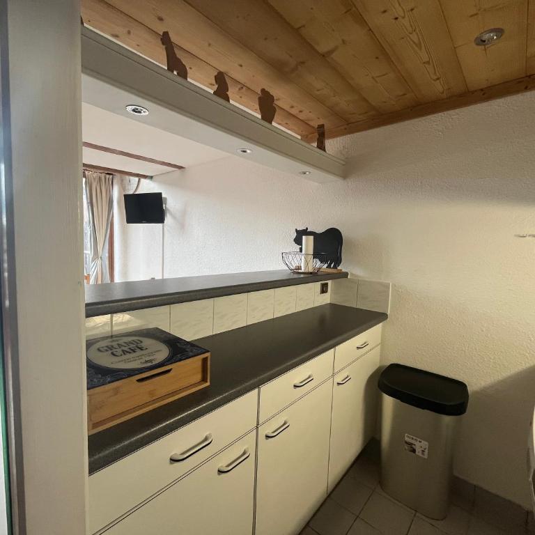 Le Génépi - Appartement 1 Chambre - 5