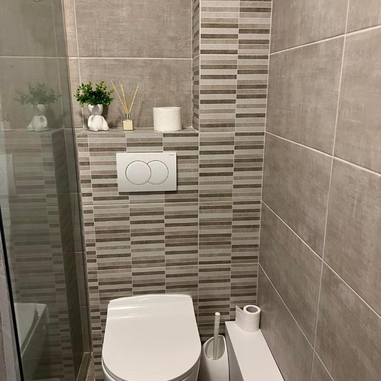 Milka apartman Sokobanja - Apartman - 21