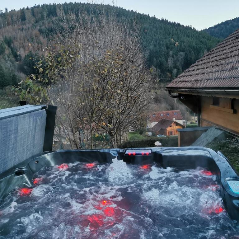 The dream catcher -Spa- panoramic sauna- 2 MINUTES FROM THE SLOPES - Chalet - 25
