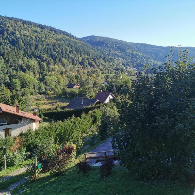 The dream catcher -Spa- panoramic sauna- 2 MINUTES FROM THE SLOPES - Chalet - 2