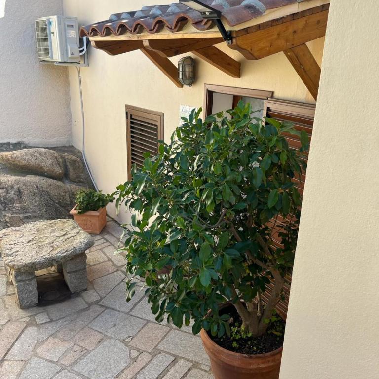 Villa Carlotta la Maddalena - Villa con Vista Mare - 31