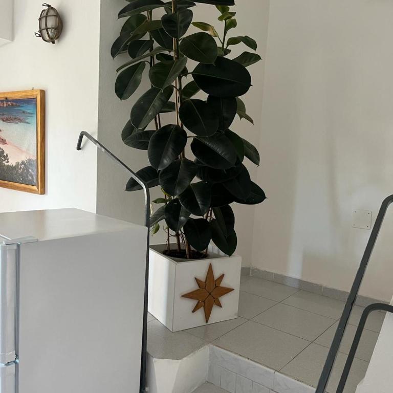 Villa Carlotta la Maddalena - Villa con Vista Mare - 36