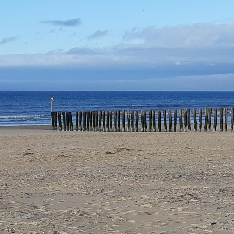 Studio Calais Plage - Front de mer - Studio - 8