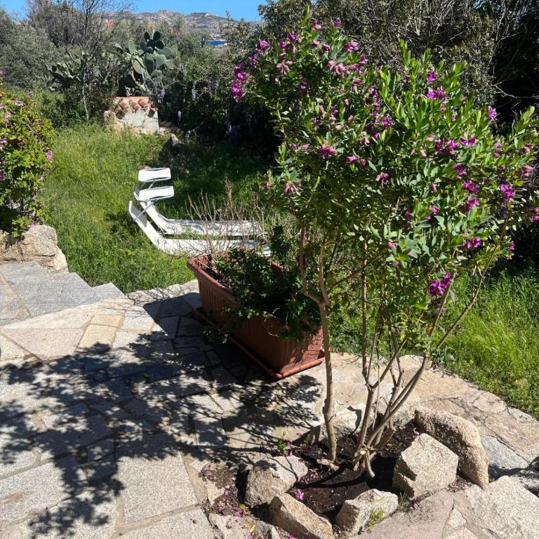Stanza privata con giardino - Camera Matrimoniale con Bagno Privato - 8