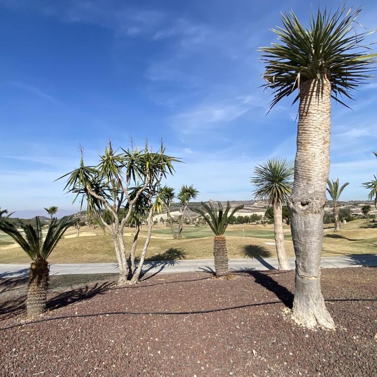 Impresionante apartamento en zona de GOLF - Apartamento de 2 dormitorios - 40