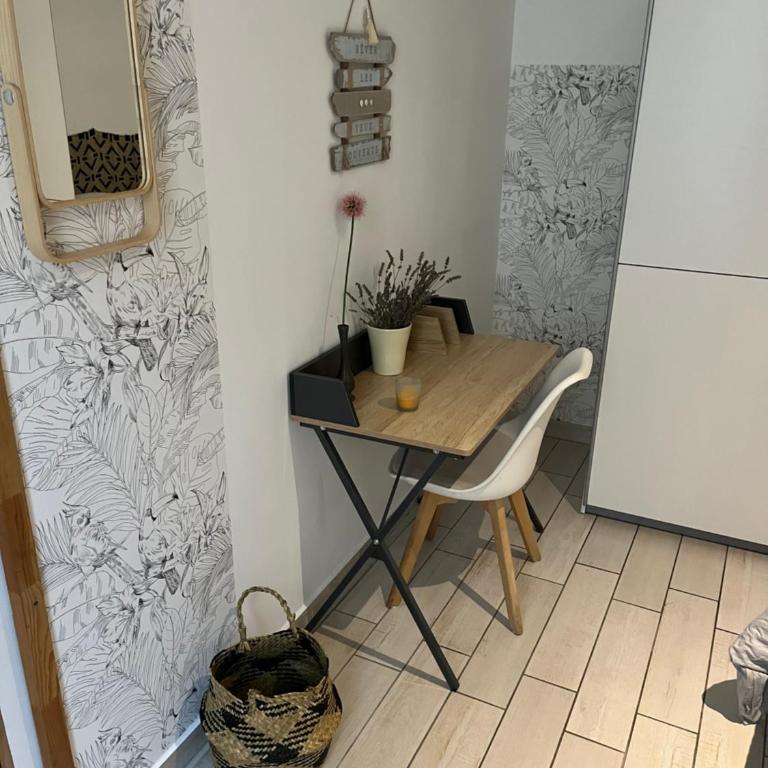 Joli appartement hypercentre T2, classé meublé de tourisme 3 avec parking gratuit - Appartement 1 Chambre - 24