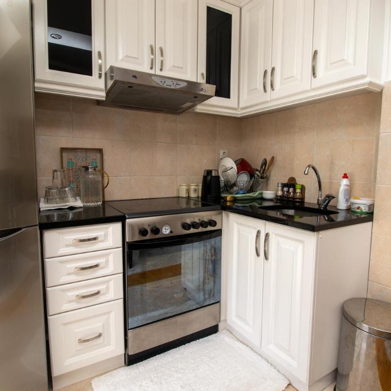 APARTMENTS ANI - Apartman sa 2 Spavaće Sobe - 4