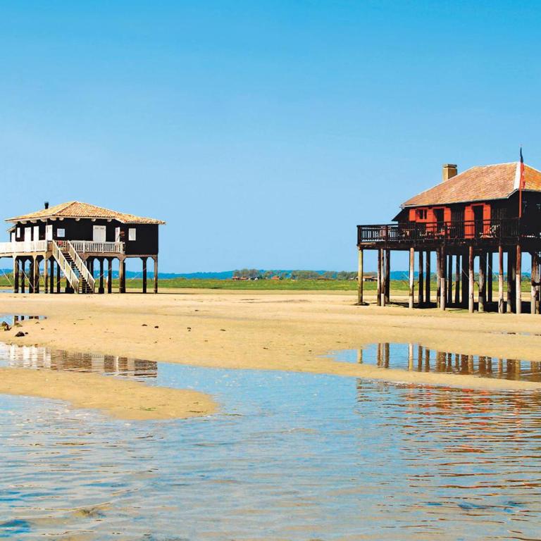 Charmant T2 au Centre d'Arcachon avec Garage - À Proximité de la Plage et des Commerces - FR-1-420-88 - Apartment (4 Erwachsene) - 17