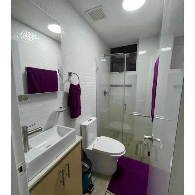 Renewed apt in Altamira, the heart of Caracas - Apartment - 8