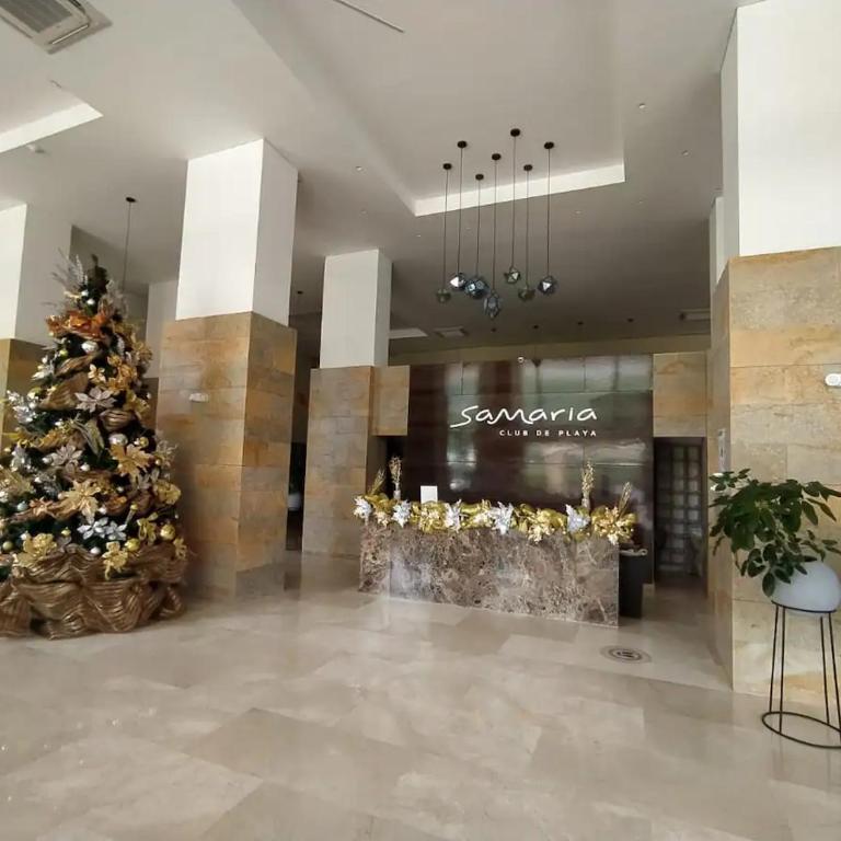 PENTHOUSE con Vista y Salida Directa al Mar - Apartamento de 3 dormitorios - 8