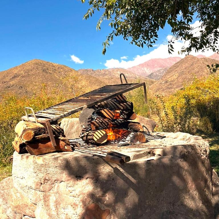 Casita de Montaña Manzano Histórico VALLE DE UCO - Chalet de 1 dormitorio - 15