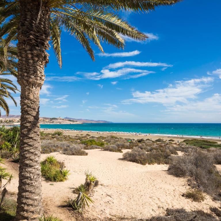 Moderno apto. cerca de la playa de Costa Calma - Apartamento de 1 dormitorio - 23