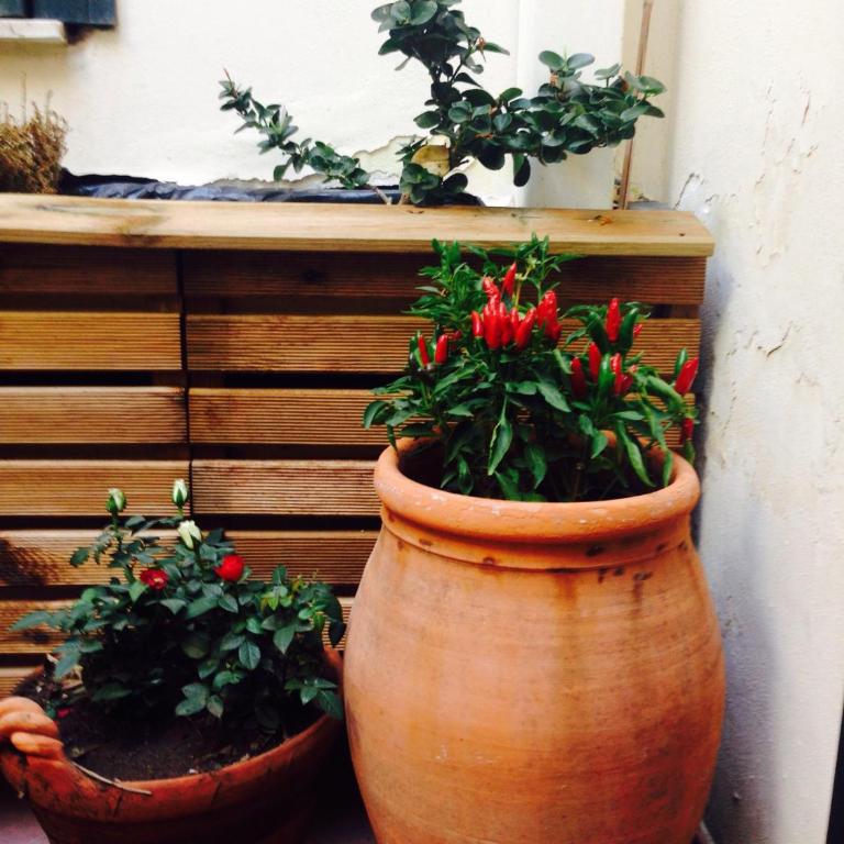 In Catania's Heart - Apartment - 40