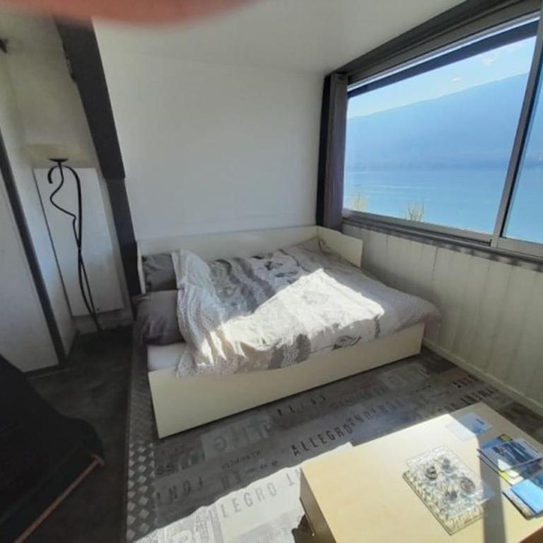 Pépite du lac Vue imprenable 40m2 Tresserve plage Aix les bains - Apartment mit Seeblick - 18