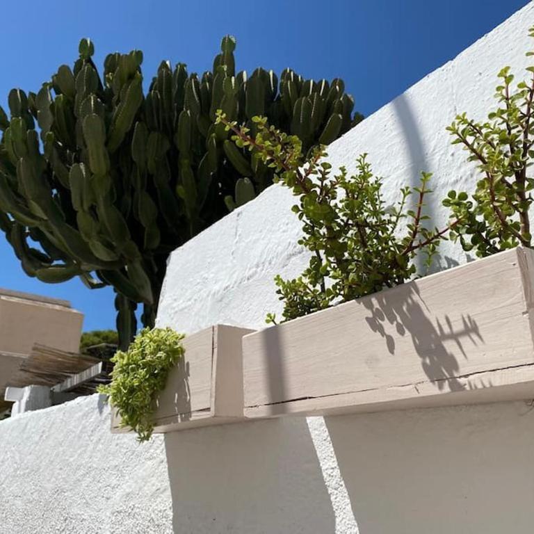 La casita de la abuela María - Casa con 1 dormitorio - 10