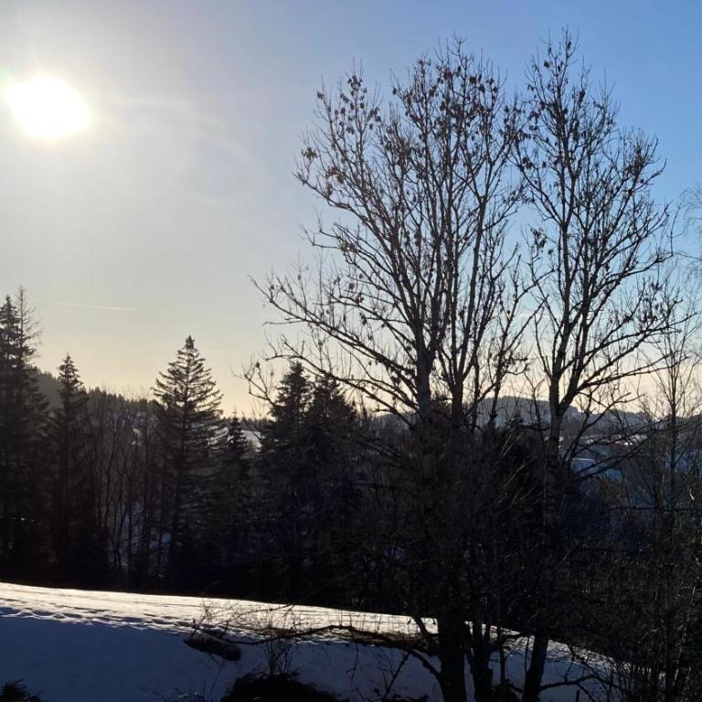 Alpenflair im Ferienpark Oberallgäu- Pool- Sauna- Bikepark- Skilift- Loipe- Wanderwege- stilvoll und kinderfreundlich - One-Bedroom Apartment - 35
