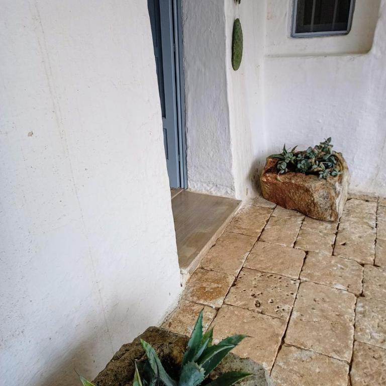 Trullo Nonno Marco 2.0 - Casa con 1 Camera da Letto - 5