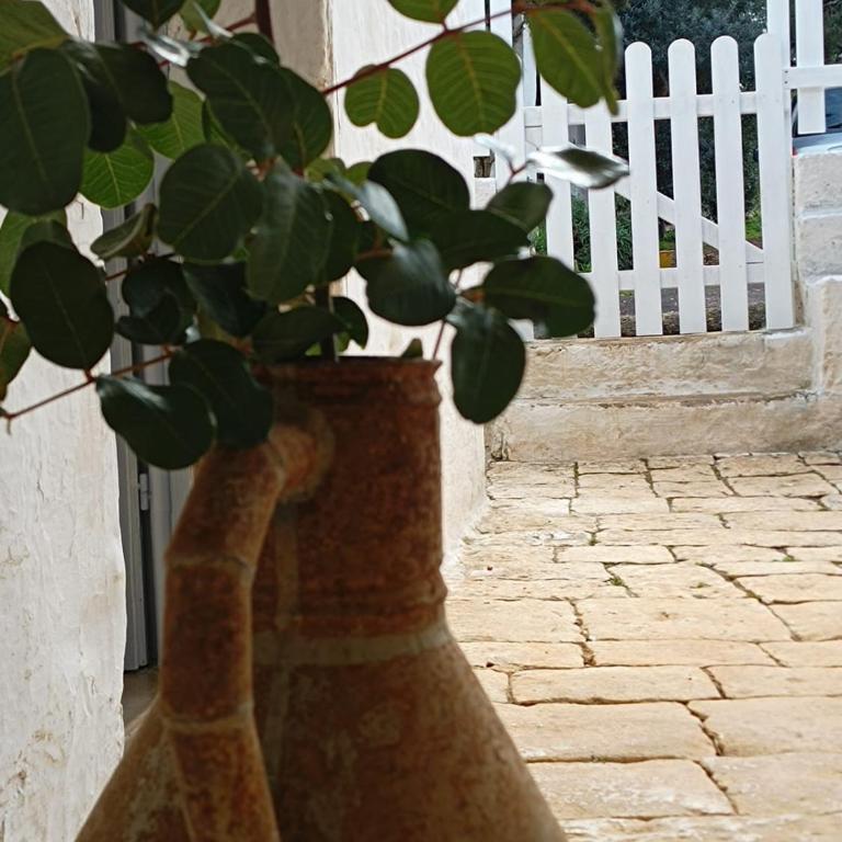Trullo Nonno Marco 2.0 - Casa con 1 Camera da Letto - 23