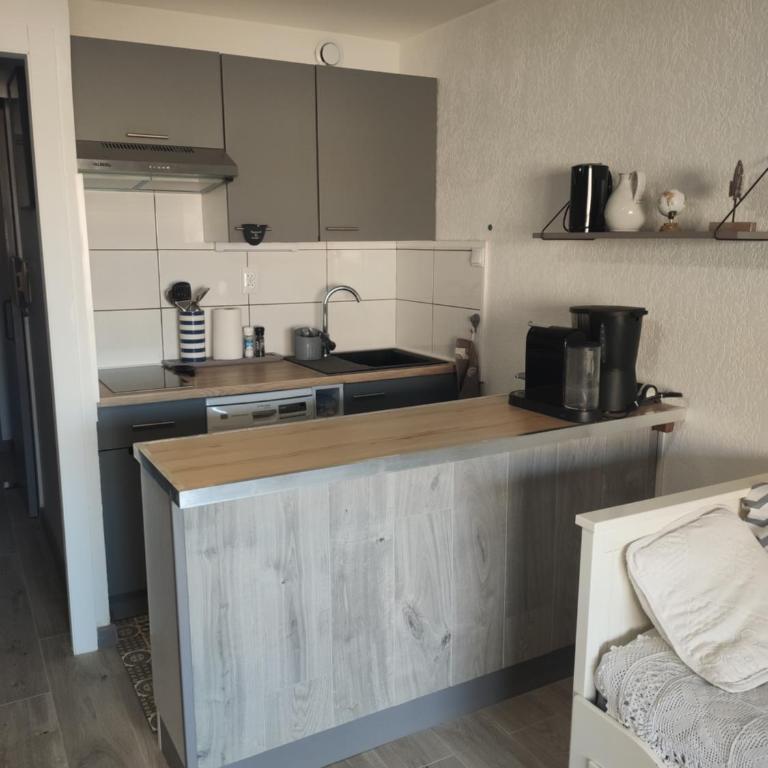 Studio plage de l'argentiére LA LONDE LES MAURES - Appartement 1 Chambre - 10