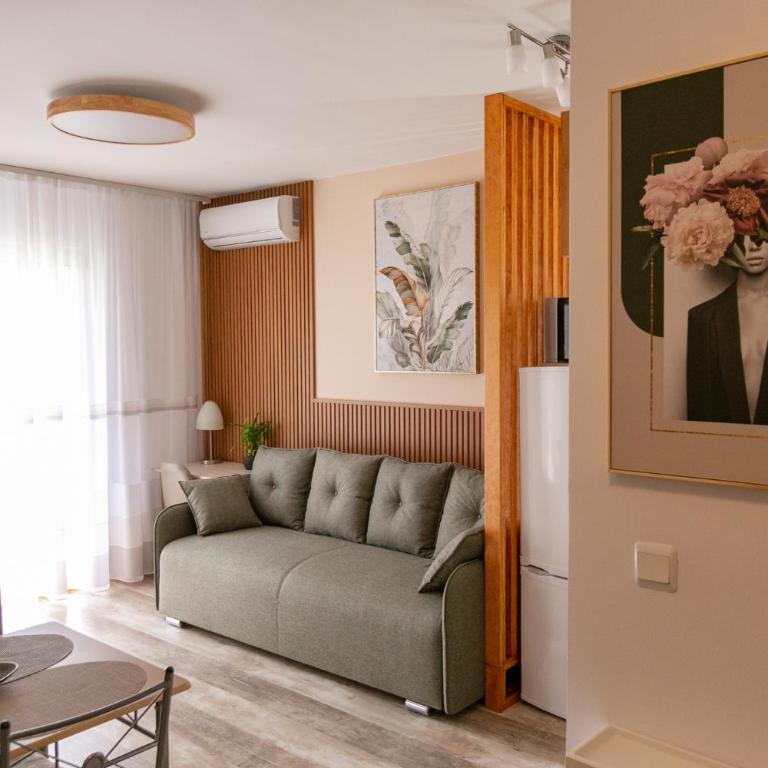 Apartments Alesia Bečići - One-Bedroom Apartment - 5