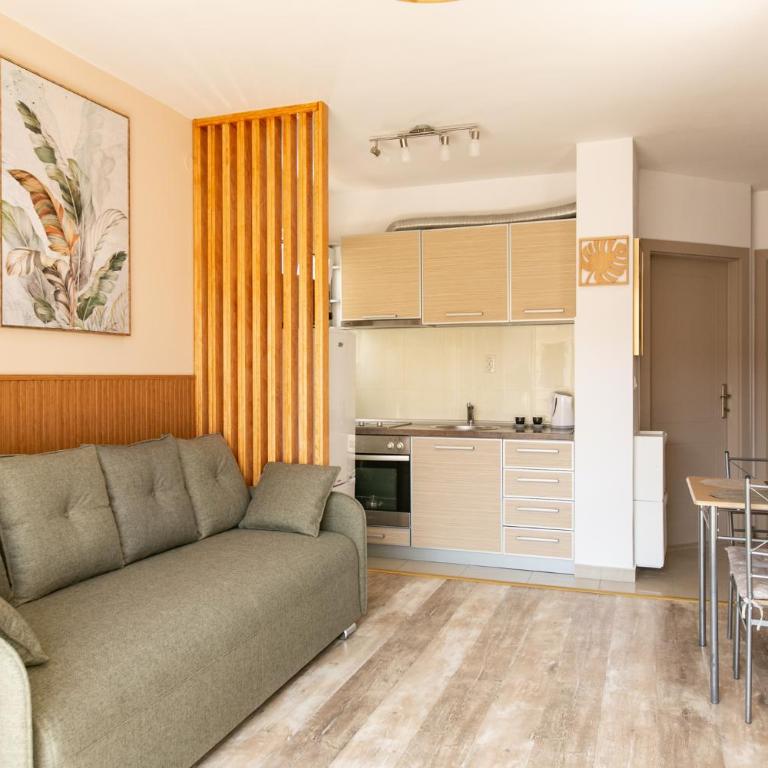 Apartments Alesia Bečići - One-Bedroom Apartment - 7