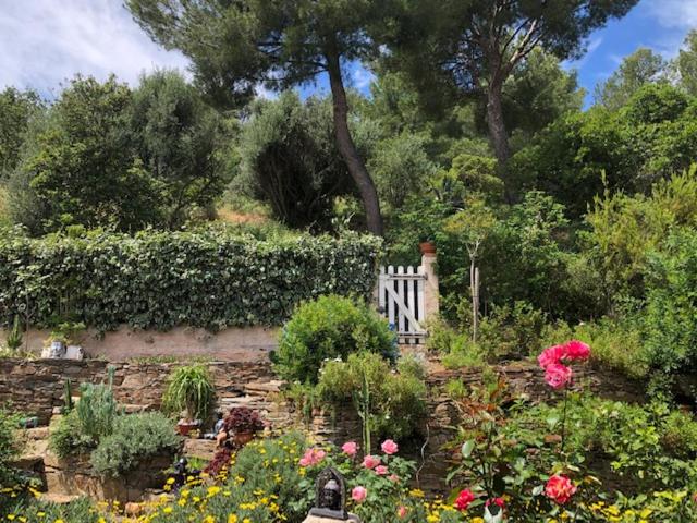 logement zen sur la colline aux mimosas - Appartement 1 Chambre - 2